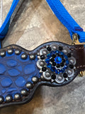 Blue Gator Bronc Halter