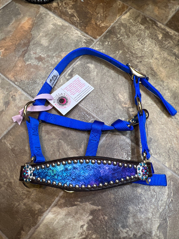 Nothern Lights Mini Bronc Halter