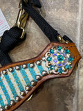 Turquoise Stripe Mini Bronc Halter